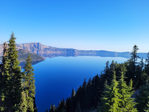 Lakeside Trees, Crater Lake National Park, Oregon