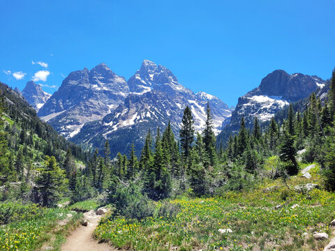 Grand Teton Vista from Cascade Canyon North Fork, Grand Teton National Park, Wyoming