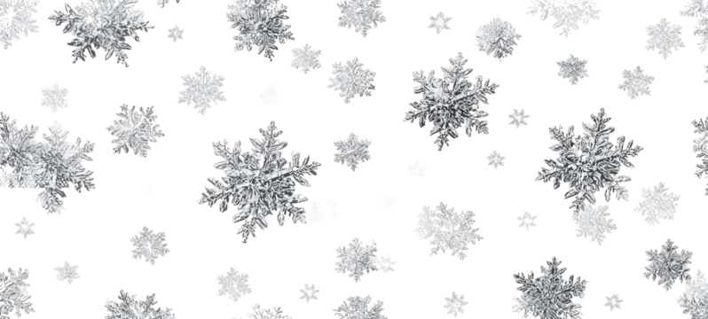 Abstract grayscale pattern of irregular, textured shapes resembling splatters or tie-dye