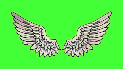 Obraz premium Illustration of a pair of white wings on a green background.