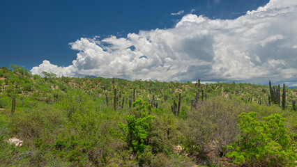 Mountain landscape with clouds in Todos Santos, La Paz, Baja California Sur, Mexico. Panoramic...