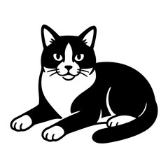 Tuxedo Cat Laying Down
