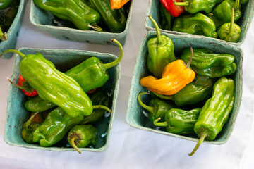 Cardboard produce boxes of Tabasco peppers, hot chili pepper. The small, unripe fruit, some yellow, green, and red, has a smooth, shiny skin and a tapered shape. The stems are green colored.