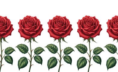 Elegant Red Roses Seamless Border Illustration