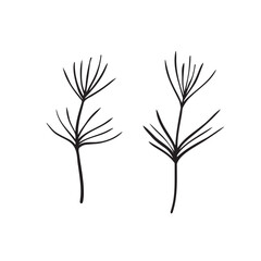 Minimalist Botanical Illustrations Featuring Delicate and Beautiful Sprigs of Nature