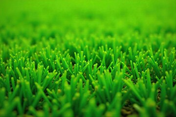 Fototapeta premium Close-up view of lush green sod, freshly cut and vibrant, ready for installation Perfect for landscaping, gardening, or lawn care projects Shows texture and healthy growth , background, vibrant