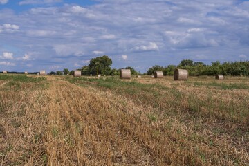 Large straw bales in a golden harvested field with blue sky and clouds. Rural farming scene with...