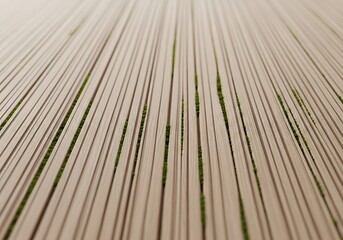 Obraz premium Repeating parallel wooden planks with lush green moss filling the gaps create a harmonious natural pattern full of