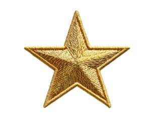 Gold embroidered star,  detailed design