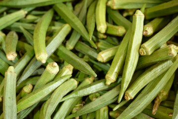 fresh green ladyfinger