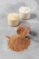 Various protein powders in scoops on gray background for fitness and nutrition. 