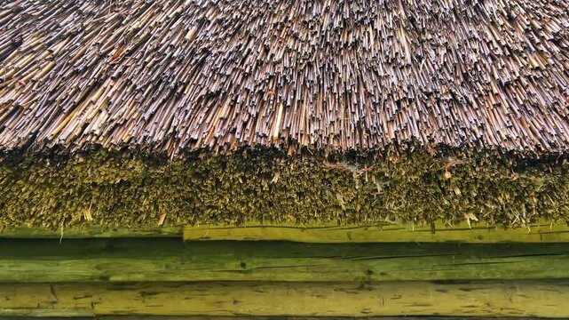 straws of a houses thatched roof
