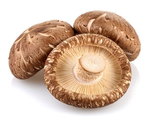 Shiitake Mushrooms on White Background