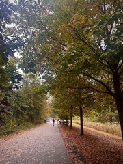 Atlanta beltline trail in autumn with colorful fall foliage and tree canopy