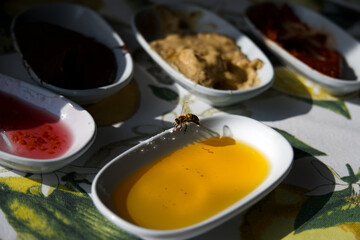 Bee on the honey 