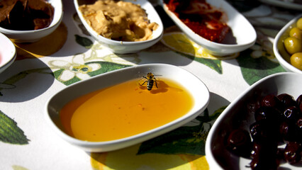 Bee in the honey bowl