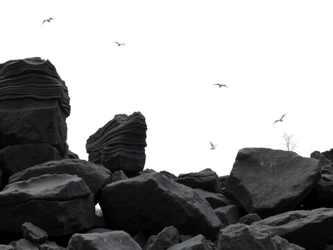 Dramatic black and white landscape with jagged rocks and soaring birds - Powered by Adobe