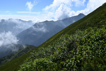 Fototapeta premium Climbing Mount Senjogatake Yamanashi, Japan