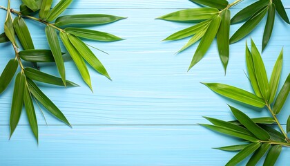 Fresh bamboo leaves on light blue wood