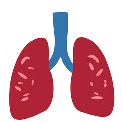 Human lungs in red with blue trachea. Ideal for anatomy charts, respiratory health education, or medical illustrations.
