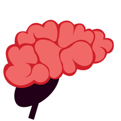 Human brain in pink with dark stem. Perfect for neuroscience graphics, anatomy education, or medical and psychology illustrations.