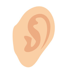Human ear with simplified internal structure. Suitable for anatomy charts, hearing health graphics, or medical illustrations.