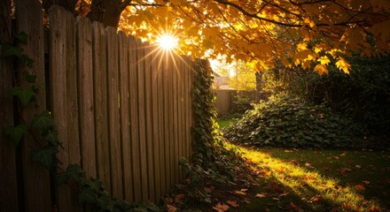 Golden Autumn Sunlight Through Wooden Fence