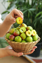 Fresh Red and Green Plums in Basket - Hands Holding Cut Fruit Pieces Showing Yellow Flesh