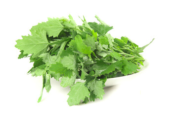 Fototapeta premium Fresh Green Leafy Vegetables in White Bowl - Healthy Organic Produce on White Background