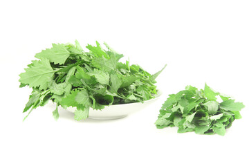Fresh Green Leafy Vegetables and Tender Sprouts on White Background
