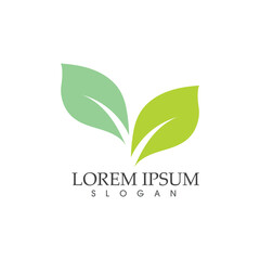 green leaf leaves logo  nature element vector image