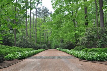 Obraz premium A serene pathway lined with lush greenery and blooming plants, inviting visitors into a tranquil forest setting.