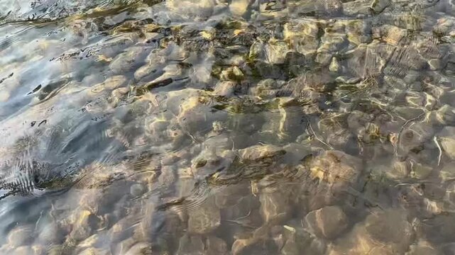 Rocks along the McKenzie River in Oregon
