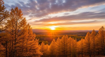 Fototapeta premium Golden sunrise over autumn forest canopy with vibrant orange and yellow leaves
