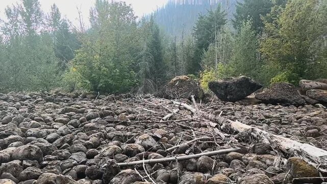 Rocks along the McKenzie River in Oregon