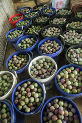Fresh Olives in Buckets at Farmers Market - Harvest Season Display