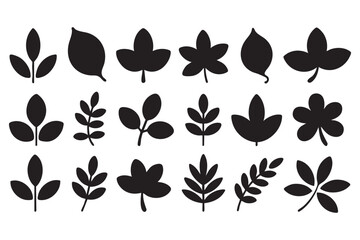 Botanical Vector Illustration With Various Leaves And Leaf Shapes In Black And White For Natural Designs And Creative Projects
