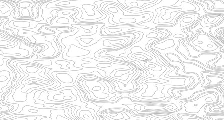 Topographic contour map. similarcartography illustration. Abstract outline grid, vector illustration. Topography and geography map grid abstract backdrop. 