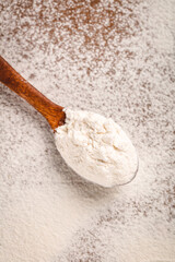Freshly Ground Wheat Flour on Wooden Spoon - High Quality Baking Ingredient