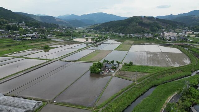 May 15 2024 rice field from Yufuin town, Oita Prefecture, Kyushu, Japan