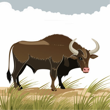 egyptian aurochs nile bank illustration for extinct bovine