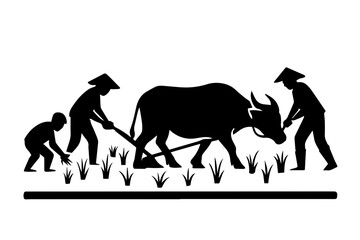 Farming with Water Buffalo