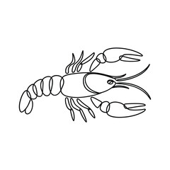 Simple line drawing of a crawfish or lobster
