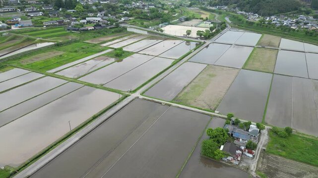 May 15 2024 rice field from Yufuin town, Oita Prefecture, Kyushu, Japan