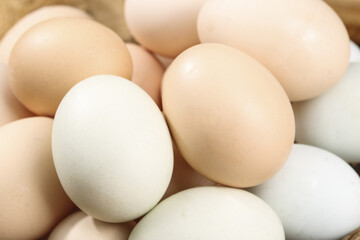 Fresh Farm-Raised Eggs Collection - White and Brown Organic Chicken Eggs for Healthy Cooking