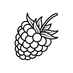 Simple outline drawing of a fresh raspberry fruit