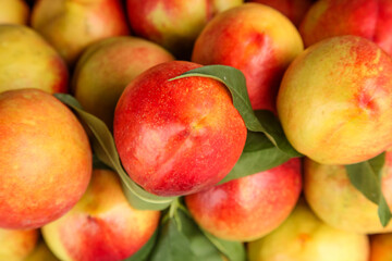 Fresh Red and Yellow Nectarines Stacked at Market Display
