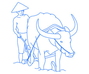 vietnamese farmer ploughing a paddy field with a water buffalo