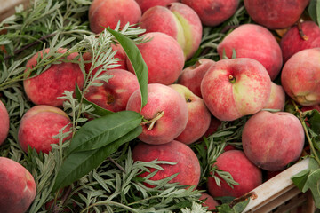 Fresh Red-Fleshed Peaches from Hubei China Stacked with Green Leaves - Organic Summer Fruit Harvest Display