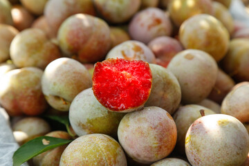 Fresh Red-Fleshed Plums from Gutian Orchard Showing Vibrant Crimson Interior